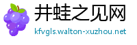 井蛙之见网